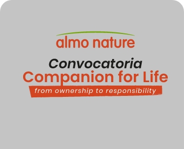 place_holder_card_es